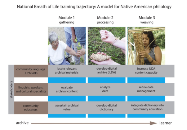 NBoL Training Trajectory